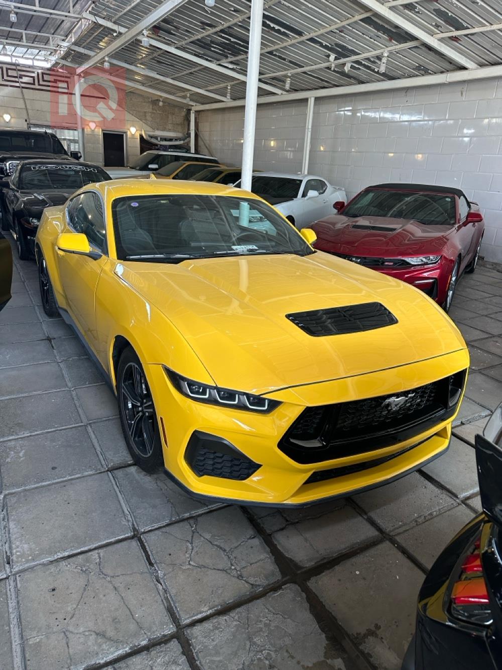 فورد موستانج